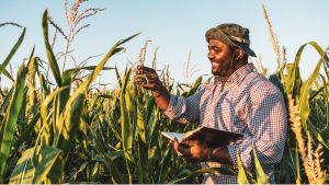 Smiling farmworker after a day's work, reflecting the security and dignity offered by digital payments