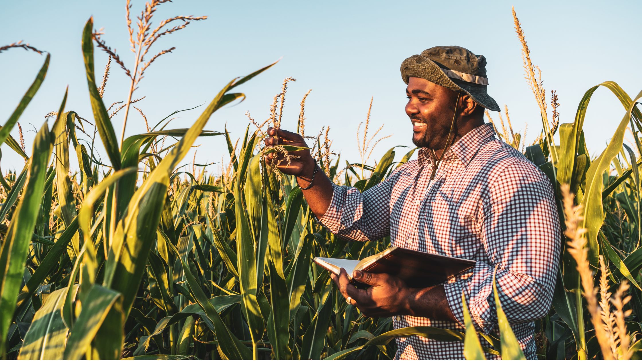 Agri-worker in field Smiling farmworker after a day's work, reflecting the security and dignity offered by digital payments